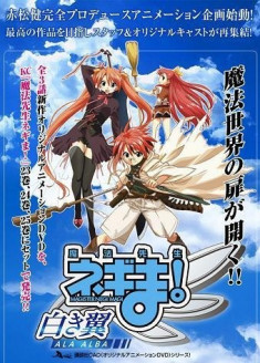 Mahou Sensei Negima! Shiroki Tsubasa Ala Alba